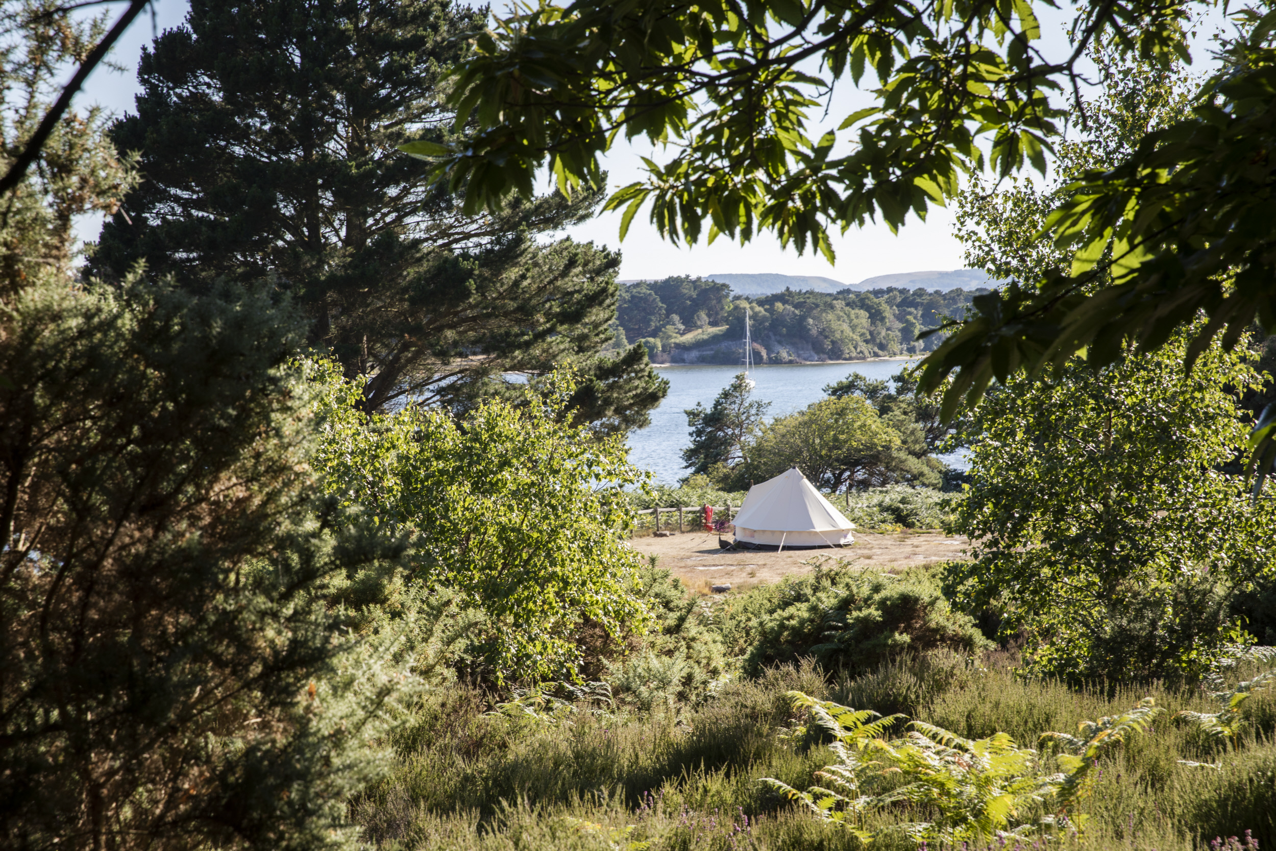 Brownsea Island campsite