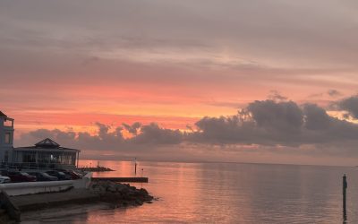 Ferry Newsletter Q4 2025