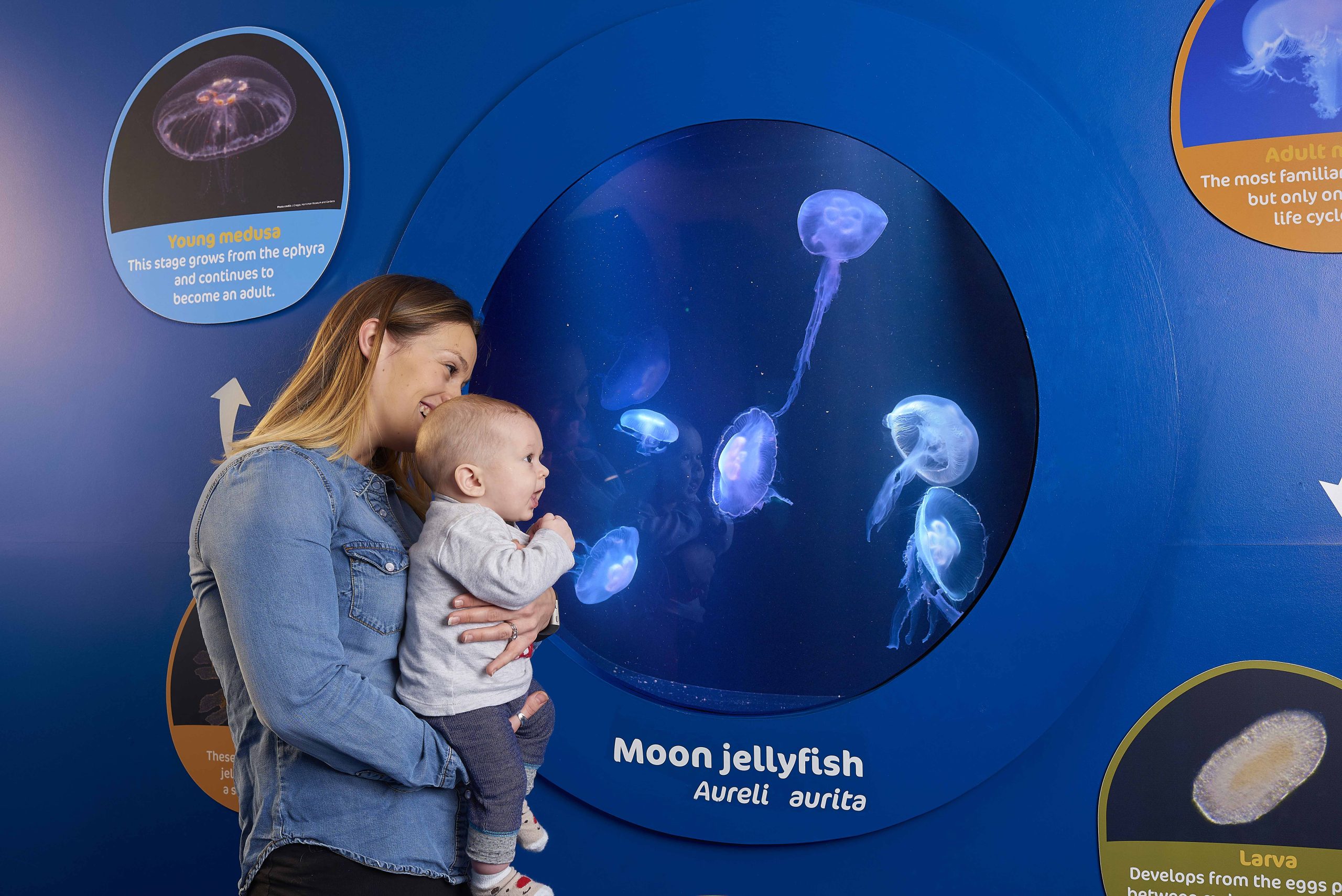 Bournemouth Oceanarium