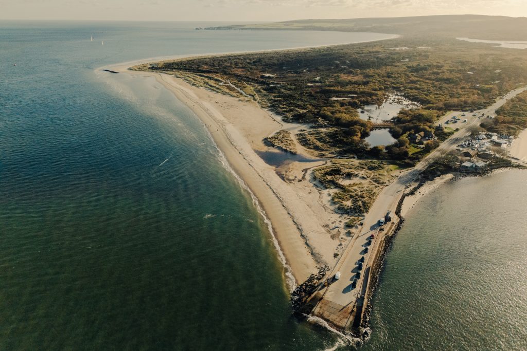 Shell Bay, Dorset