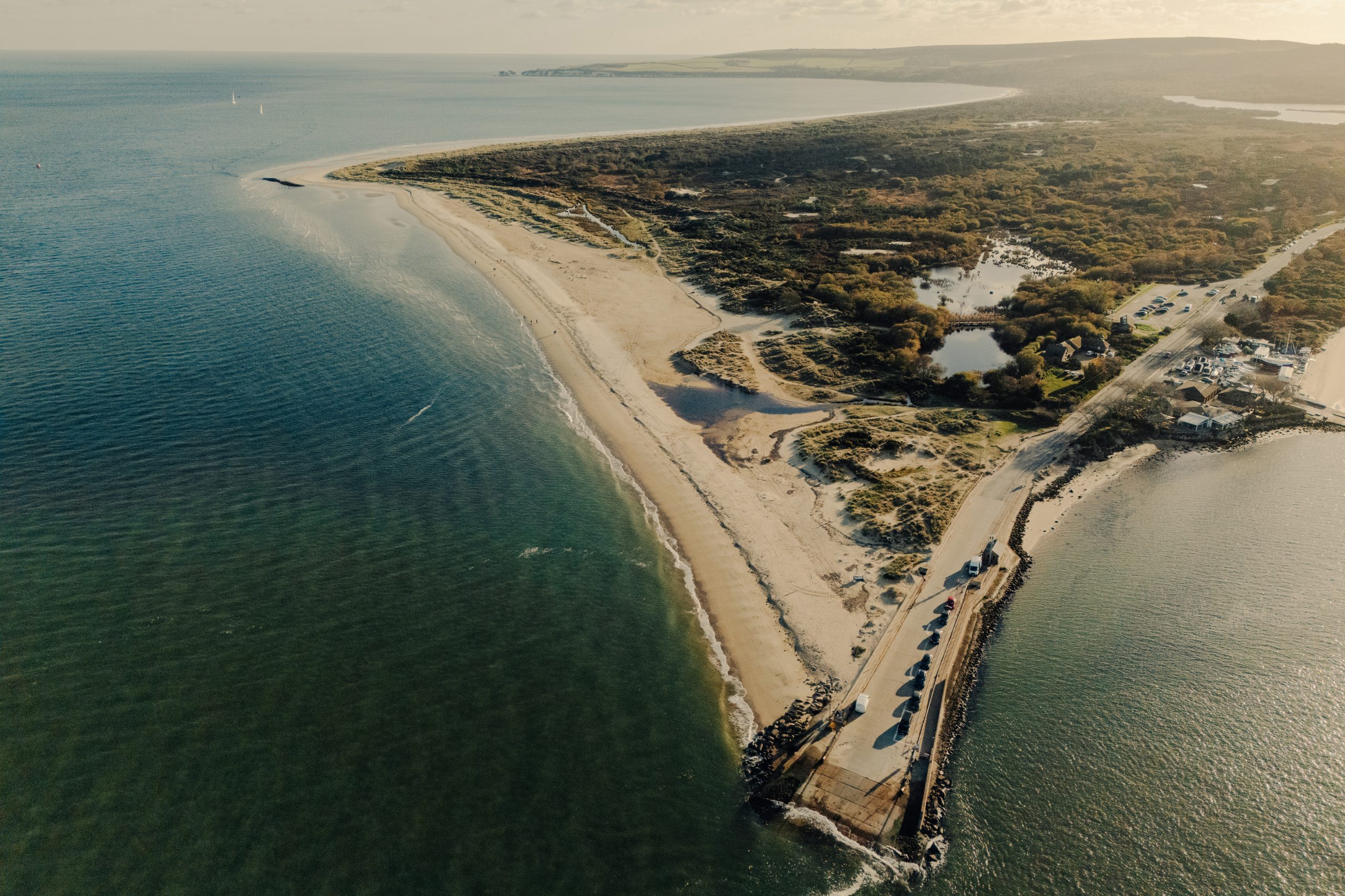 Shell Bay, Dorset