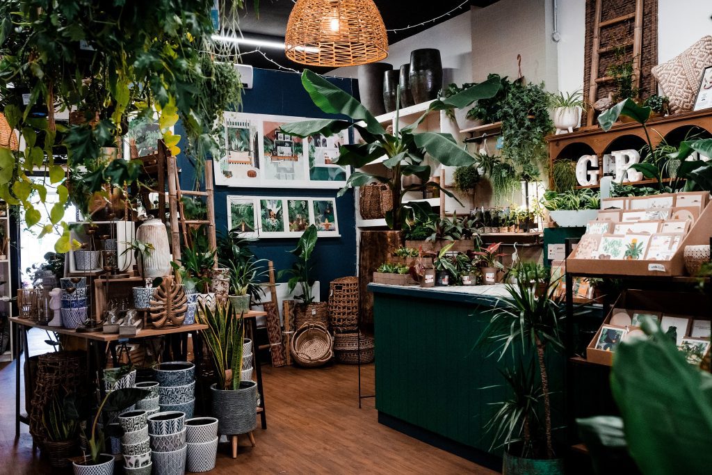 Wild Roots shop, Kingland, The Dolphin Poole